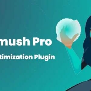 WP Smush Pro v3.21.1 Latest Version Download Free