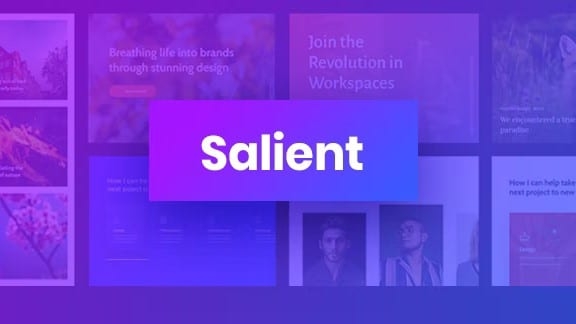 Salient Creative Multipurpose & WooCommerce Theme v14.0.5